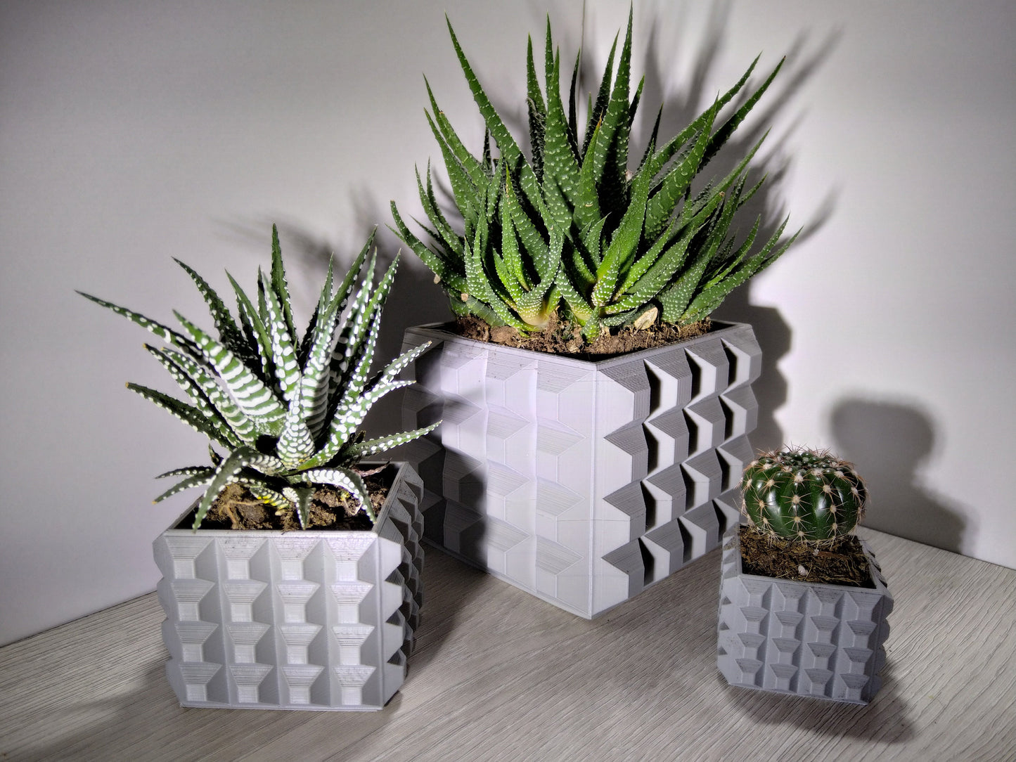 Choco-Licious Planter - Chocolate Bar Design for Plant Lovers