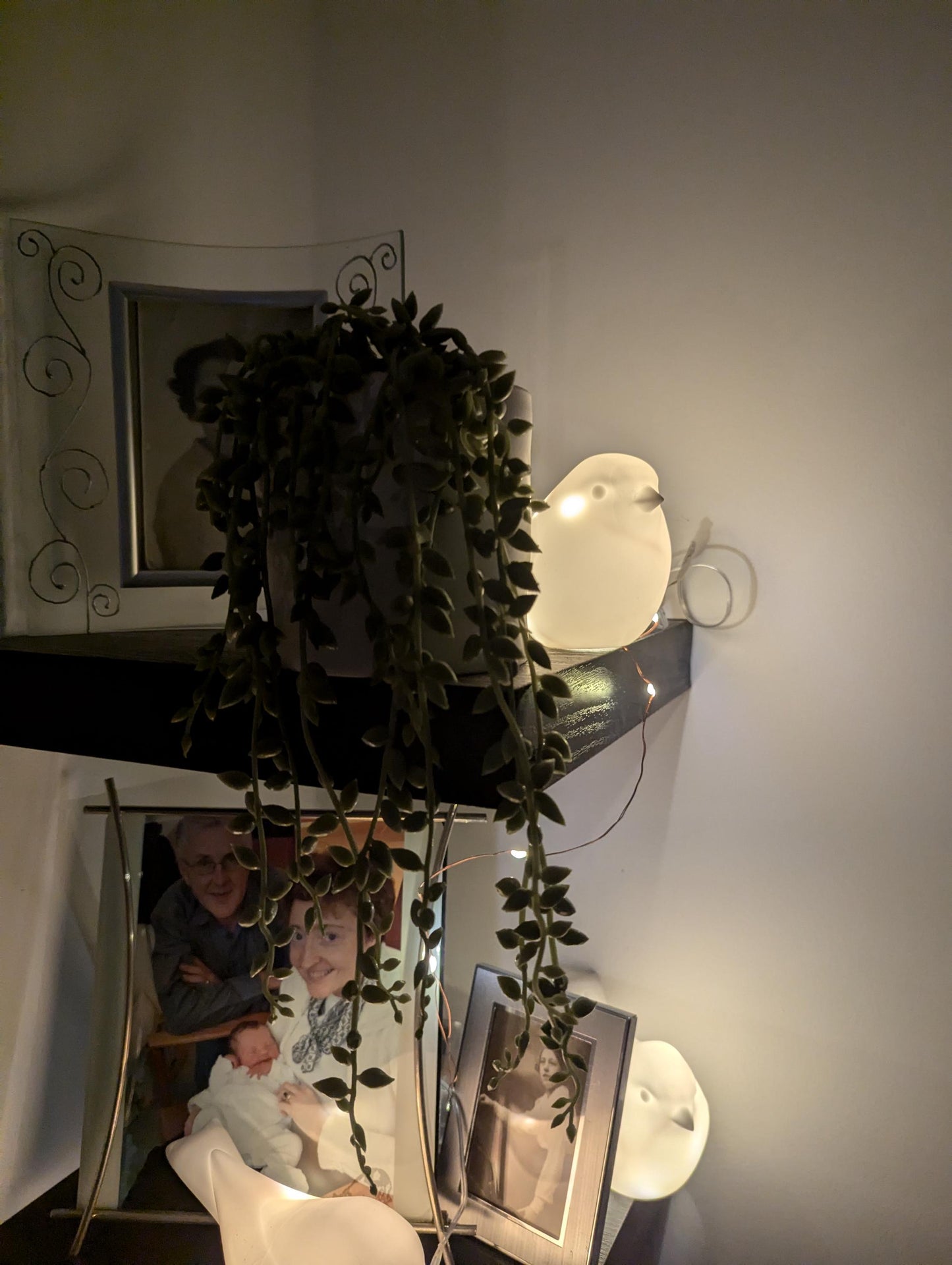Set of 3 Robin Night Lights, Battery Powered