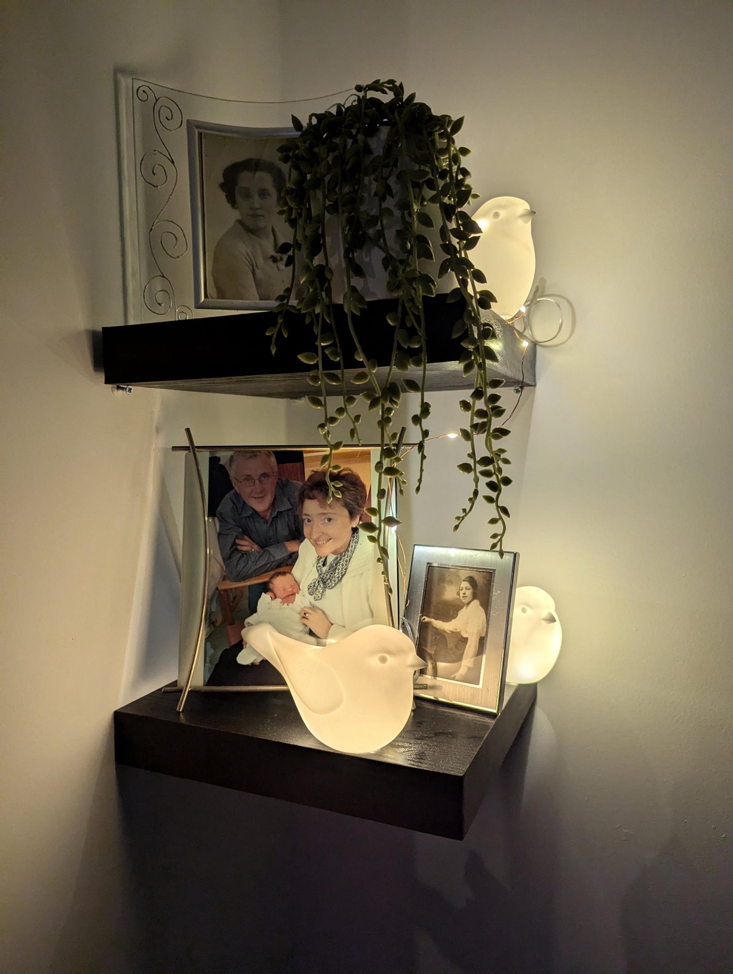Set of 3 Robin Night Lights, Battery Powered