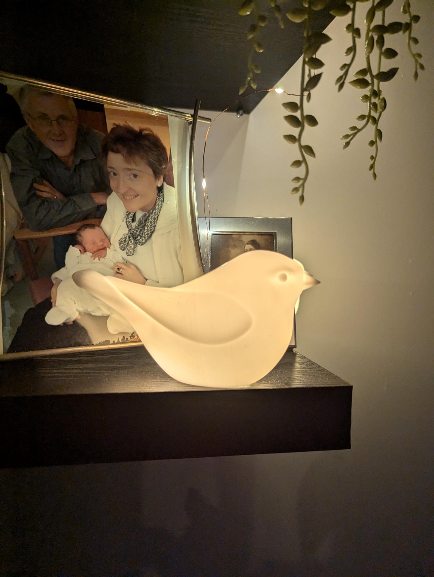 Set of 3 Robin Night Lights, Battery Powered
